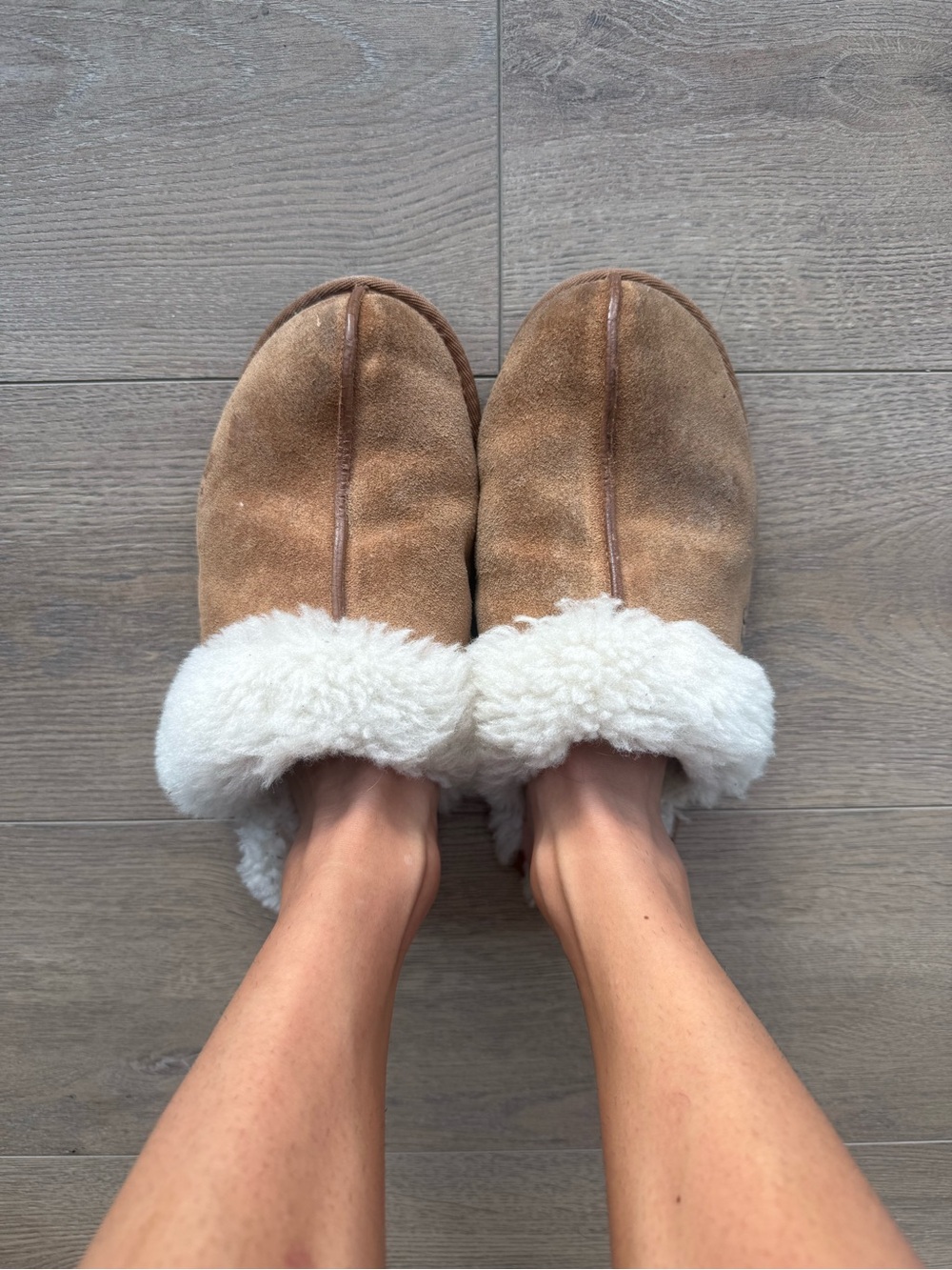 UGG Chestnut Suede Shearling Clog Slippers with Cream Cuff